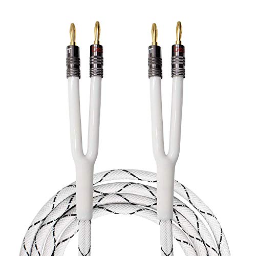 GearIT 12AWG Premium Heavy Duty Braided Speaker Wire (10 Feet) with Dual Gold