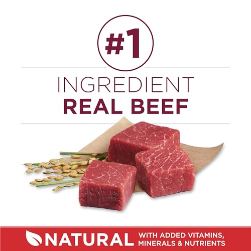 Purina ONE Small Bites Beef and Rice Formula Small High Protein Dry Dog Food Natural With Added Vitamins, Minerals and Nutrients - 16.5 lb. Bag