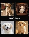 golden retriever pups te koop met stamboom  Golden Retriever Puppies: A Full-Color Picture Book for Dog Lovers, Seniors, and Kids  24 Premium Professional Photos of Golden Retriever Pups in Nature, at Play, and at Rest