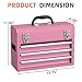 Granper Heavy-Duty Metal Tool Chest with Drawers, Powder-Coated for Garage & Home (Pink)