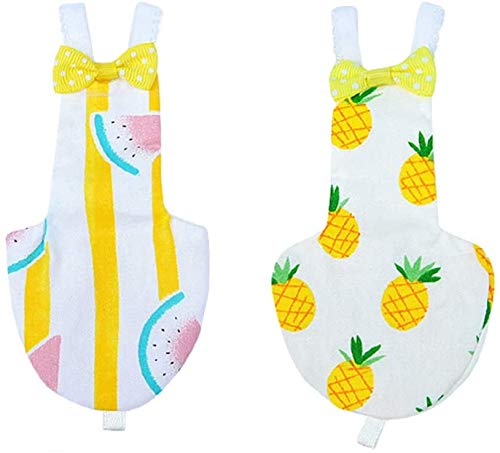 ISMARTEN 2Pcs Parrot Bird Diaper Flight Suit Light Diaper Nappy Pet Bird Parrot Clothe ( Random Style)