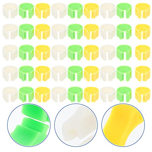POPETPOP 300pcs Identificação de pombo anéis