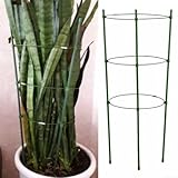 Jaula de soporte para plantas trepadoras con 3 anillos circulares y 3 marcos para plantas de jardín como tomates y flores, 45 cm de altura