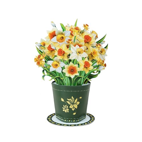 TaNoTool Ȑu[P 3D|bvAbvO[eBOJ[hAy[p[t[m[gJ[hMtgANX}XAӍՁAaAnEBAnbs[j[C[ATL[Mtg Y fB[X