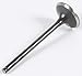 Wiseco? Stainless Steel Exhaust Engine VES006