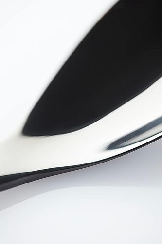 Miniatura 7 de Chef Frank Haasnoot Cucharas de chapado  Juego de cucharas Rocher  Negro  2 piezas de cucharas Quenelle  Herramientas culinarias  Utensilios  Kit de