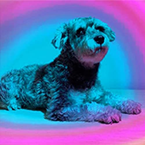 Youoklight Sunset Lamp, Tripod Rainbow Projector Lamp, 10W Led Sunset Lamp Projector 360 Degree Rotation Sunset Lights. Photography Party Home Living Room Sunset Lamp For Bedroom. Rainbow #TOP3