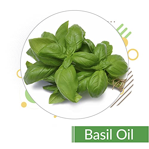 Image of B-URBAN Basil (Ocimum Basilicum) Oil | 100% Pure & Natural Undiluted Essential Oil For Skincare & Hair Care - 30ML