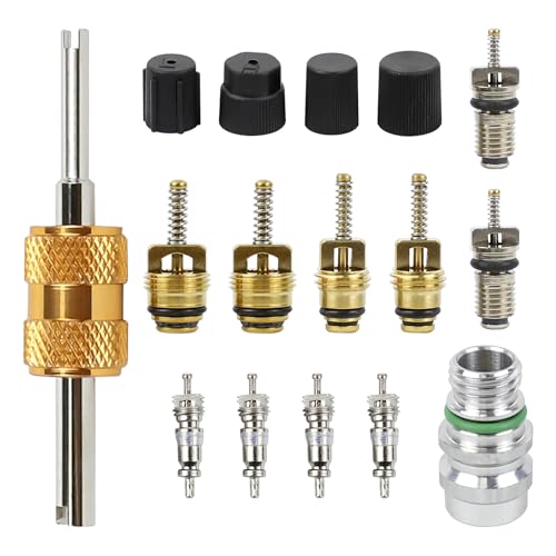 wuyaoyao 16PCS Car Air Conditioning Valve Core Kit, R12 R134A Teflon Seal Refrigeration Valve Stem Cores with Remover Tool, Service HVAC System Charging Port Seal Caps Kit, Car A/C Repair Tool
