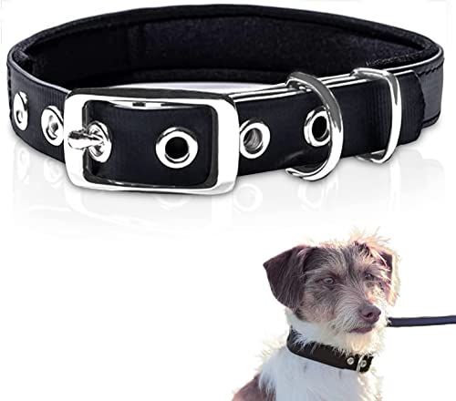 PetTec Collier pour chien en TrioflexTM avec rembourrage résistant aux intempéries et imperméable robuste (rouge, marron, noir, orange) Cover