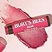 Burt's Bees Lip Tint Balm, Long Lasting 2 in 1 Duo Tinted Balm Formula, Color Infused with Hydrating Shea Butter for a Natural Looking Buildable Finish, Rose, 1 Tube
