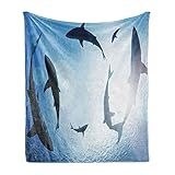 Lunarable Underwater Throw Blanket, Sharks Circling from Above Aggressive Dangerous Creature Scary Threat, Flannel Fleece Accent Piece Soft Couch Cover for Adults, 50' x 60', Blue White