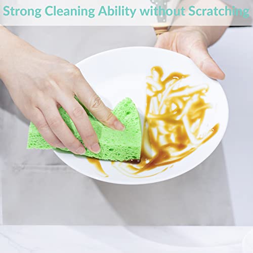 Pop-Up Sponges 6 Pack, Reidea 100% Biodegradable Scrub For Furniture (Leather Sofa), Kitchen (Dish, Counter) - Non Scratch Odor Free Plant Based Sponge - Eco-Friendly Wood Pulp (Multi Color) #TOP5