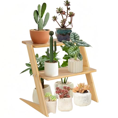 OcBuct 3 Tier Table Top Countertop Small Plant Stand with Shelf Adjustable