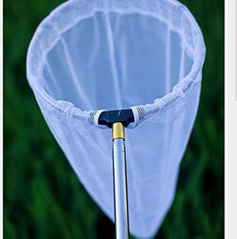 みどりむし様ご依頼用 楽天市場】【P2倍+7%OFF】虫取り網 伸縮式 伸縮 長さ 約148cm 3