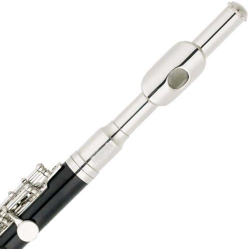 Mendini MPO-EN Black Resin Key of C Piccolo with Nickel Plated Keys with Case, Joint Grease, Cleaning Cloth and Rod, and Gloves