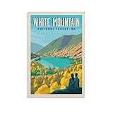 kwid poster da viaggio vintage white mountain national forest nh poster decorativo su tela, poster da parete e arte stampa artistica moderna per camera da letto, 30 x 45 cm