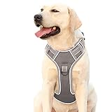 【Größendetails】 - Die korrekten Abmessungen des Artikels entnehmen Sie bitte vor dem Kauf der Größentabelle. Der Abstand zwischen Ihrem Hund und einem Teil des Geschirrs sollte zwei Finger betragen.