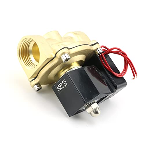 Électrovanne DN15 AC220V pour automatiser l'arrosage du jardin et sécuriser la maison