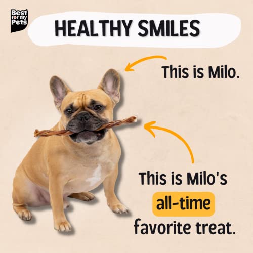 Best For My Pets Braided Bully Sticks For Dogs (12 Inch, 8 Pack) - Premium Long Lasting Dog Chew Treats To Keep Puppies And Dogs Happily Busy - Dog Dental Chews - Fully Digestible Rawhide-Free Treats #TOP2