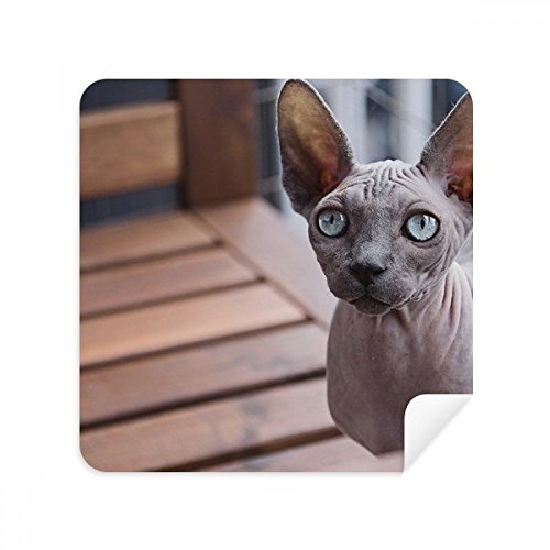 Nettoyeur screen cleaner en daim anti-traces pour verres de lunettes et smartphones
