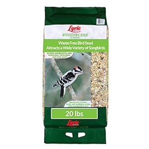 Lyric Woodpecker Wild Bird Seed – No Waste Bird Seed with Nuts, Dried Fruit & Shelled Seeds – 20 lb bag