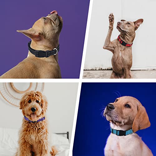 Brilliant Paw Reflective Dog Collar, Adjustable Nylon Collar, Strong Yet Comfortable, Safety Locking Buckle, Length Adjustable For Small Medium And Large Dog #TOP5
