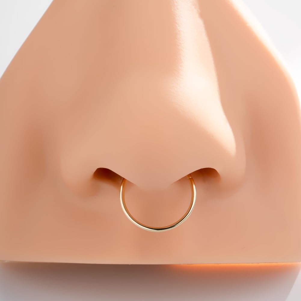OUFER Body Piercing Nose Ring Hoop 20G Nose Ring Hinged Segment Helix Lip Rings Thin Nose Hoop Piercing Gold Cartilage Daith Rook Tragus Conch Earrings Jewellery