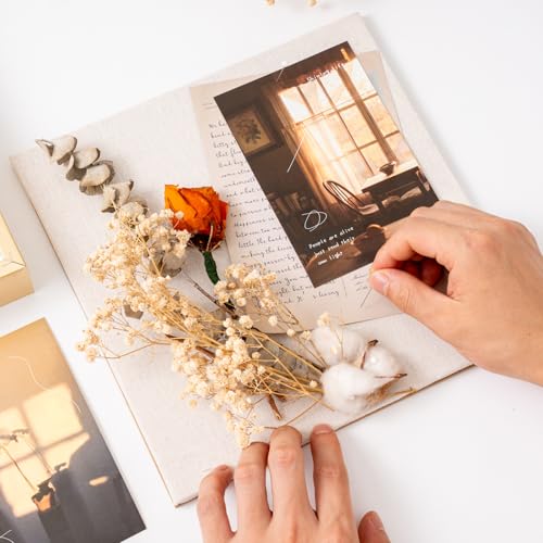 Image of Muzilife 16x20 Large Shadow Box Wood Picture Frame, Tempered Glass, Gold | FSC-Certified MDF | Soft Acid-free Linen Board | Removable Inner Frame | Wall-Mount Display Cases | For Photos and Keepsakes