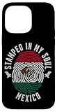 Mexican Pride Stamped in My Soul Mexico