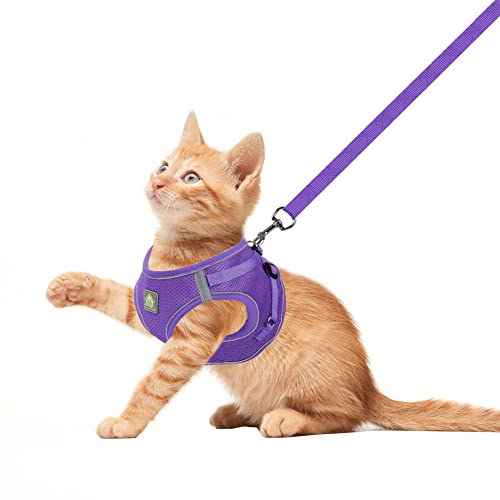 Image of FEimaX Dog Harness and Leash Set, No-Pull Breathable Soft Mesh Puppy Vest Harness Reflective Adjustable Pet Harnesses for Small Medium Dogs and Cats - Outdoor Easy Control for Walking