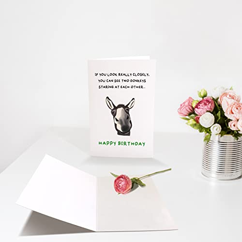 Funny Donkey Birthday Card, Happy Birthday Greeting Card, Humorous Two Donkeys Staring At Each Other Bday Card #TOP2