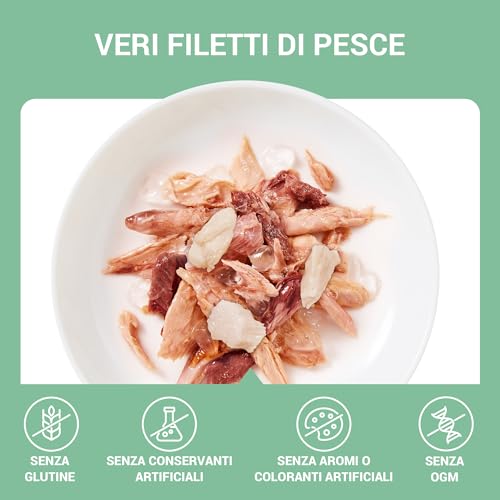 Schesir, Thunfischfilets mit Seehecht in Gelee, ergänzendes Nassfutter für Katzen, Originalrezept, 100% natürlich, 12 Beutel à 70 g