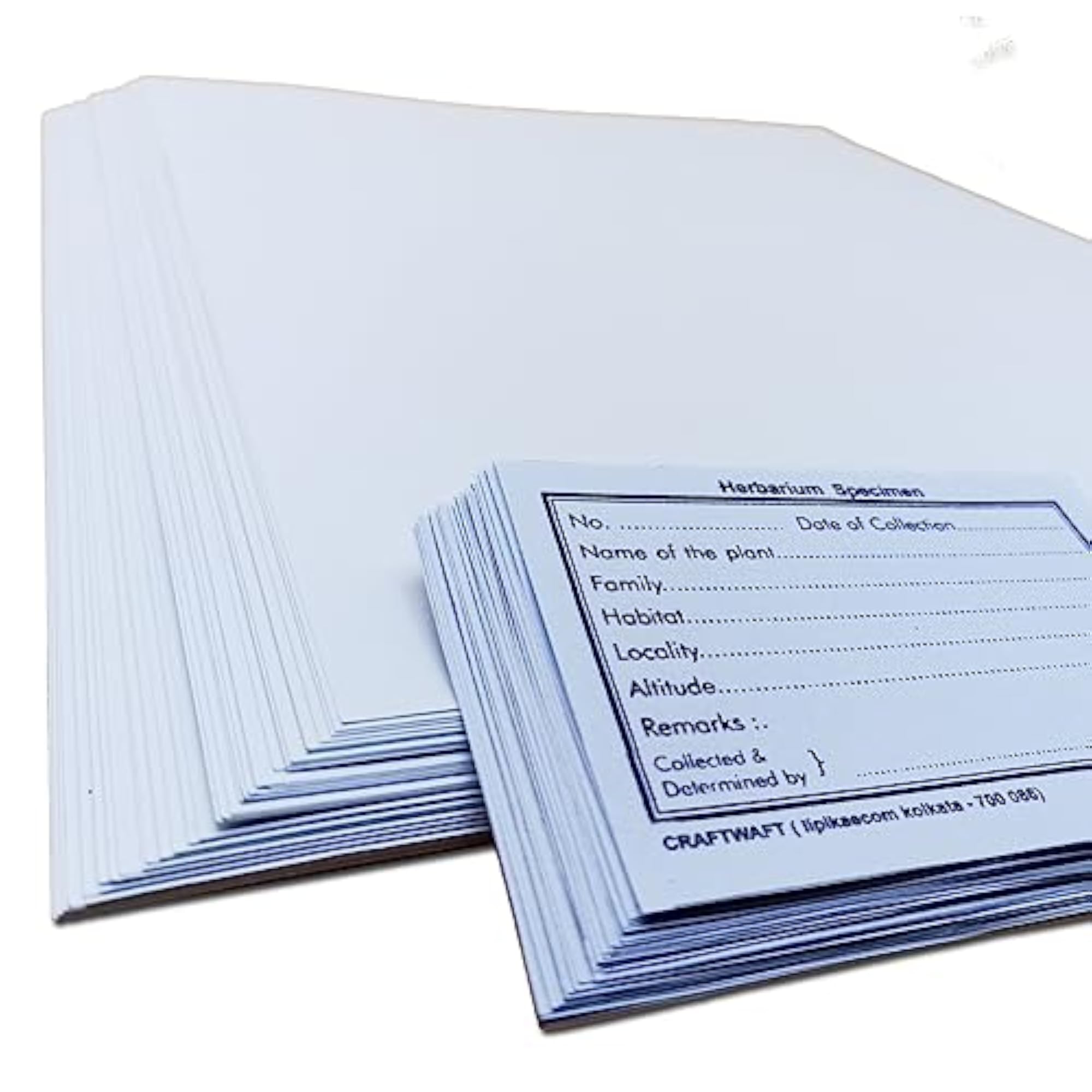 Herbarium Sheets with Printed Labels, 14x11 Inch, 120 GSM