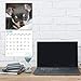 2020 Chihuahua Puppies Wall Calendar by Bright Day, 16 Month 12 x 12 Inch, Cute Dogs Puppy Animals Chi Chi Small Lap Canine