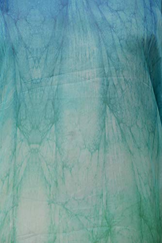 Image of RAVI RAJORIA Georgette Digital Printed Beach Wear Kaftan Blue Free Size R800 | Multi Color 2