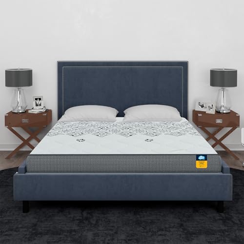 Centuary Mattresses Sleepables 6-Inch Double Size Ortho Pocketed Zero Partner Disturbance Plush...