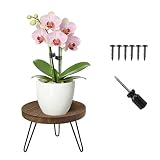 Taburete Redondo para Plantas, Soporte Redondo de Madera para Plantas, Soporte para Plantas de Madera, Taburete para Flores, Estantería para Plantas, para Hogar, Jardín, Patio