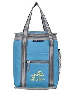 Right Choice Lunch Bags School Office Tiffin Bag (Sky Blue, Denim)