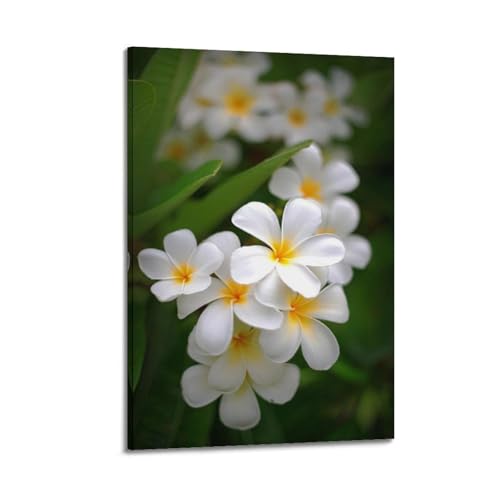 Poster plante de frangipanier blanc ZHOUKEG 60x90cm pour déco zen