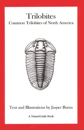 Trilobites: Common Trilobites of North America