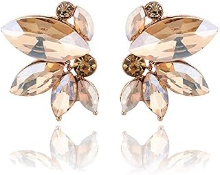 Champagne Nude Earrings for Women Black Crystal Prom Earrings Wedding Formal Stud Elegant Rhinestone Prom Stud Earring Exquisite Sparkling Wedding Jewelry