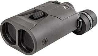 Sig Sauer ZULU6 16x42mm Schmidt-Pechan Prism Binoculars, Image Stabilized, Graphite, SOZ61601