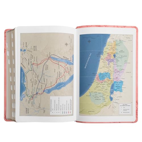 KJV Holy Bible, Giant Print with Cross-References, Soft Pink LeatherTouch with Floral Cover Design, Thumb Index, Ribbon Marker, Red Letter, Full-Color Maps, Easy-to-Read MCM Type, King James Version by Holman Bibles - Image 7