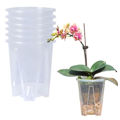 TSLBW 6 Piezas Macetas Transparentes de Orquídeas, Macetas de plástico Transparente con Agujeros de Drenaje, Maceta de plástico Duradero Drenaje de Plantas para Balcón Interior y Exterior (14cm)