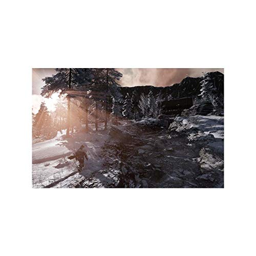 Fade To Silence Jeu PS4 - vue 10