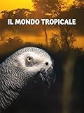  Il mondo tropicale