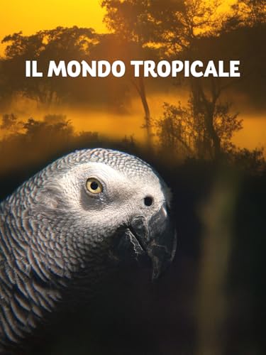  Il mondo tropicale