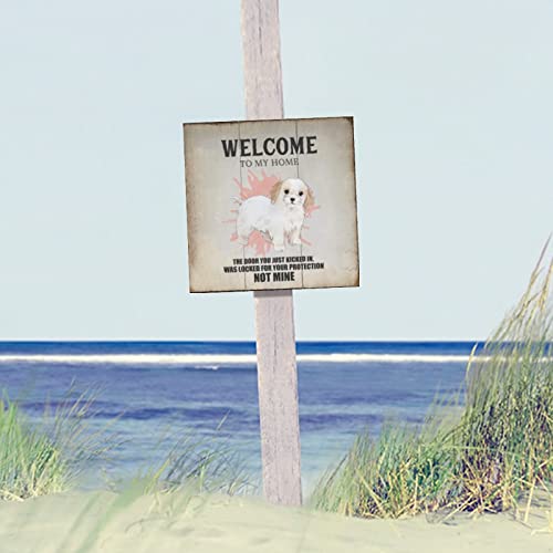 Plaque bois Collie Dog pour masquer un mur vide chambre - 4