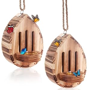 Sherr XUL-2352 Schmetterlingshaus Futterstation 2er-Set